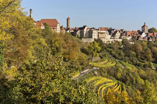 Weinberg Rothenburg ob der Tauber im Herbst